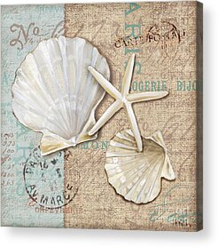 Beach House Sea Shells Calm Acrylic Prints