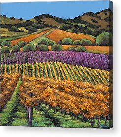 Wine Country Acrylic Prints