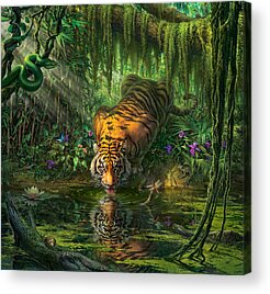 Jungle Acrylic Prints