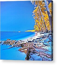 Seashore Acrylic Prints