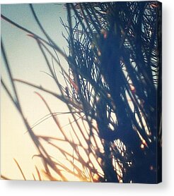 Point Of View Acrylic Prints