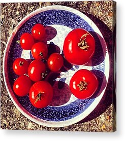 Tomatoes Acrylic Prints
