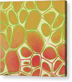 Designs Similar to Cells Abstract Five
