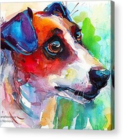 Designs Similar to Emotional Jack Russell Terrier