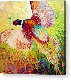 Pheasant Acrylic Prints