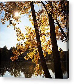 Autumn Foliage Acrylic Prints