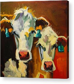 Cow Acrylic Prints