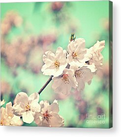 Greetings Cards With Cherries Acrylic Prints