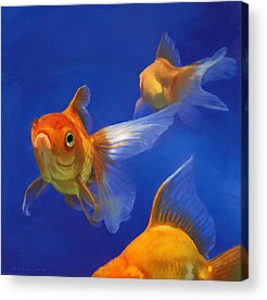 Goldfish Acrylic Prints