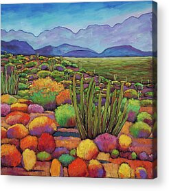 Saguaro Acrylic Prints