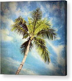 Designs Similar to Palm Paradise #3