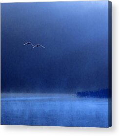 Duo Tone Acrylic Prints