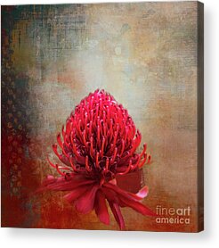 New South Wales Mixed Media Acrylic Prints