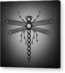 Metal Dragonfly Acrylic Prints
