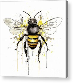 Pollinators Acrylic Prints