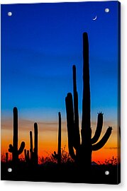 Tucson Sunset Photograph by Chris Austin