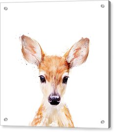 Animal Acrylic Prints and Animal Acrylic Art - Fine Art America