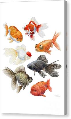 Oranda Goldfish Print Japanese Print Eclectic Wall Art 