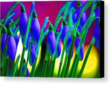 Nature Abstract Digital Art Limited Time Promotions