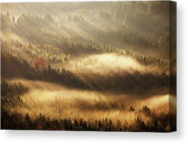 Designs Similar to Autumn Rays by Martin Rak