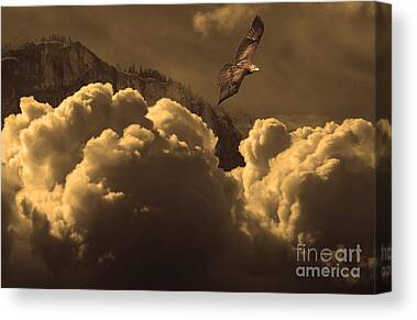 Nature Canvas Prints