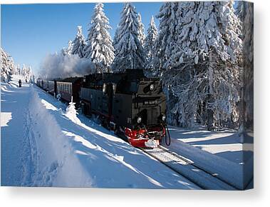 Winter Canvas Prints