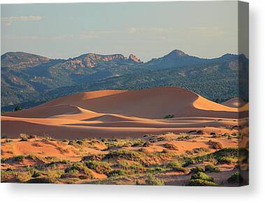 Coral Pink Sand Dunes State Park Canvas Prints