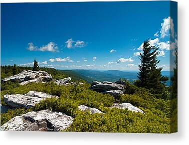 Dolly Sods Canvas Prints