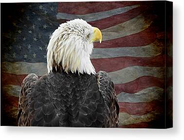 Eagle With Red Eye Canvas Prints