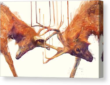 Deer Canvas Prints