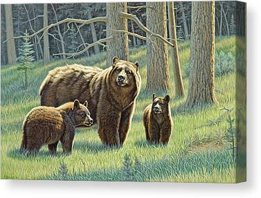 Bear Cub Canvas Prints