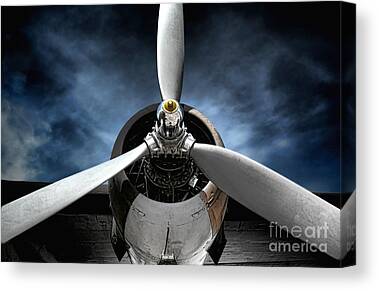 Wings Canvas Prints