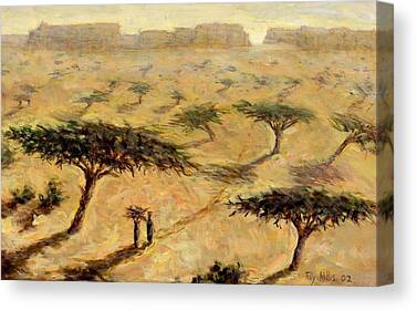 African Arid Tree Acacia Trees Plain Plains Barren Dry Shadows Heat Hot Canvas Prints