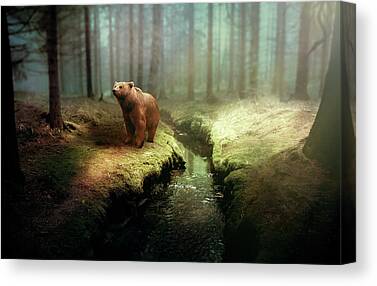 Bears Canvas Prints