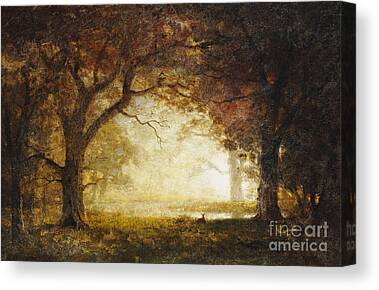 Landscape American Wood Dawn Clearing Deer Canvas Prints