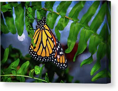 Fall Butterfly Leaves Color Monarch 3.2 A Wall Art Canvas Picture Print 