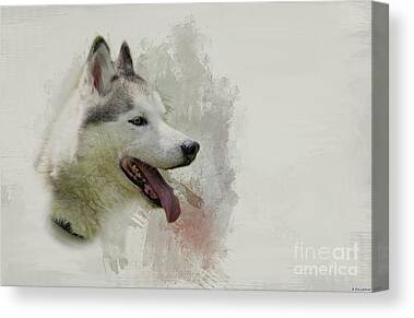 CUTE HUSKY PUPPIES CANVAS PICTURE PRINT WALL ART D45 