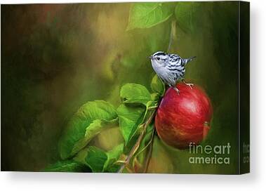 Black And White Warbler Canvas Prints
