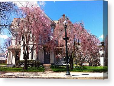 Japanese Cherry Blossom Canvas Prints