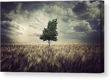 Green Field Canvas Prints