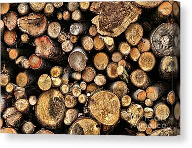 Stack of wood logs. Photograph by Bernard Jaubert - Fine Art America