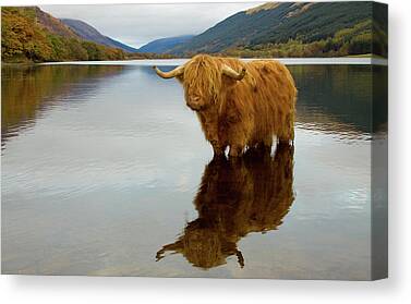 Scottish Landscape Canvas Prints