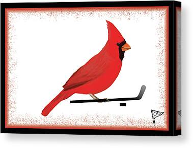 University of Louisville Cardinals Art Print by Steven Parker