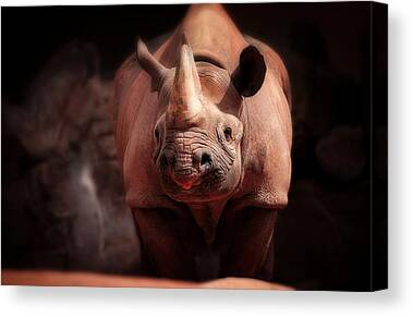 FANTASY GIANT CRYING RHINO ANIMAL LANDSCAPE CANVAS PICTURE PRINT WALL ART #5737 