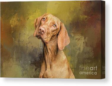 BEAUTIFUL HUNGARIAN HOUND DOG STANDING IN GRASS CANVAS PRINT WALL ART PICTURE 
