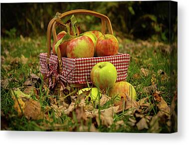 Basket Of Honey Crisp Apples by Wholden