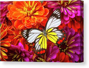 Details about   Canvas Glass Picture Wall Art Digital Print Butterfly Blooming 56962738 ANY SIZE 