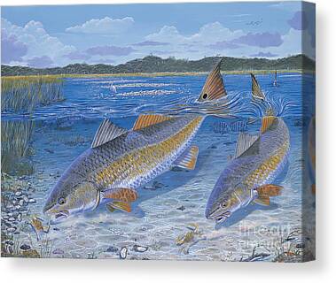 Bassmaster Canvas Prints