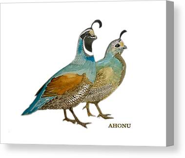 Nature Canvas Prints