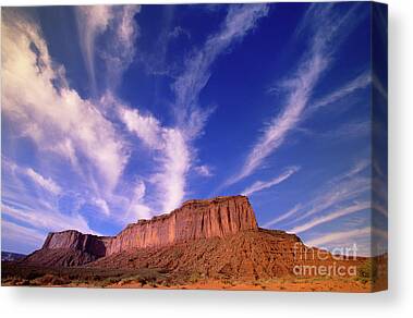 Animals and Earth Monument Valley Canvas Prints & Wall Art